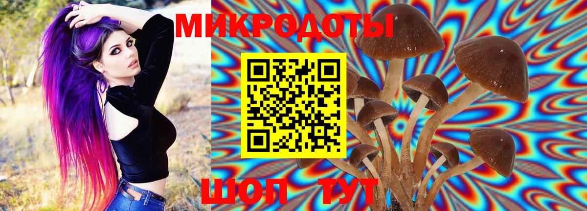 Прохладный  где можно купить наркотик  Вход с VPN  Галлюциногенные грибы Psilocybe 
