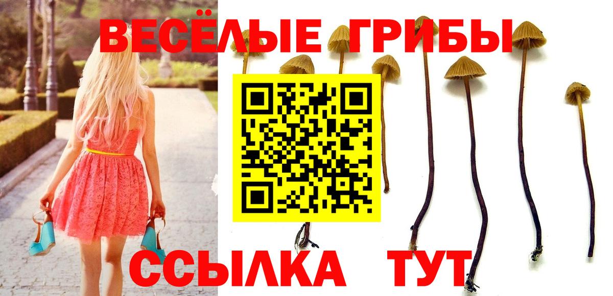 Амфетамин кристаллы  Гашиш  Вход с VPN  Прохладный  A-PVP СОЛЬ кристаллы  Марихуана  Cocaine  МЕФ  